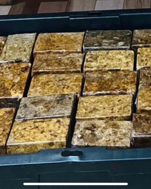 WhatsApp Image 2025-12-08 at 5.33.39 AM (1)